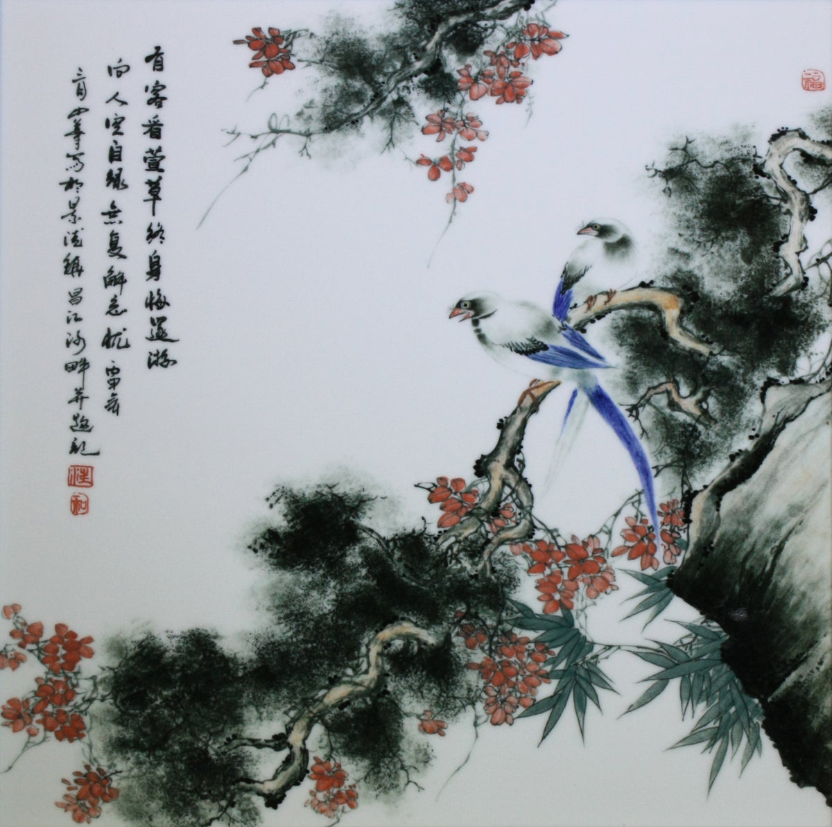 P1-2-4-4绶带迎春 · W54-1609.jpg